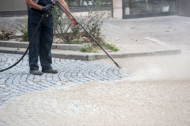 Animal Enclosure Cleaning in San Lorenzo, CA